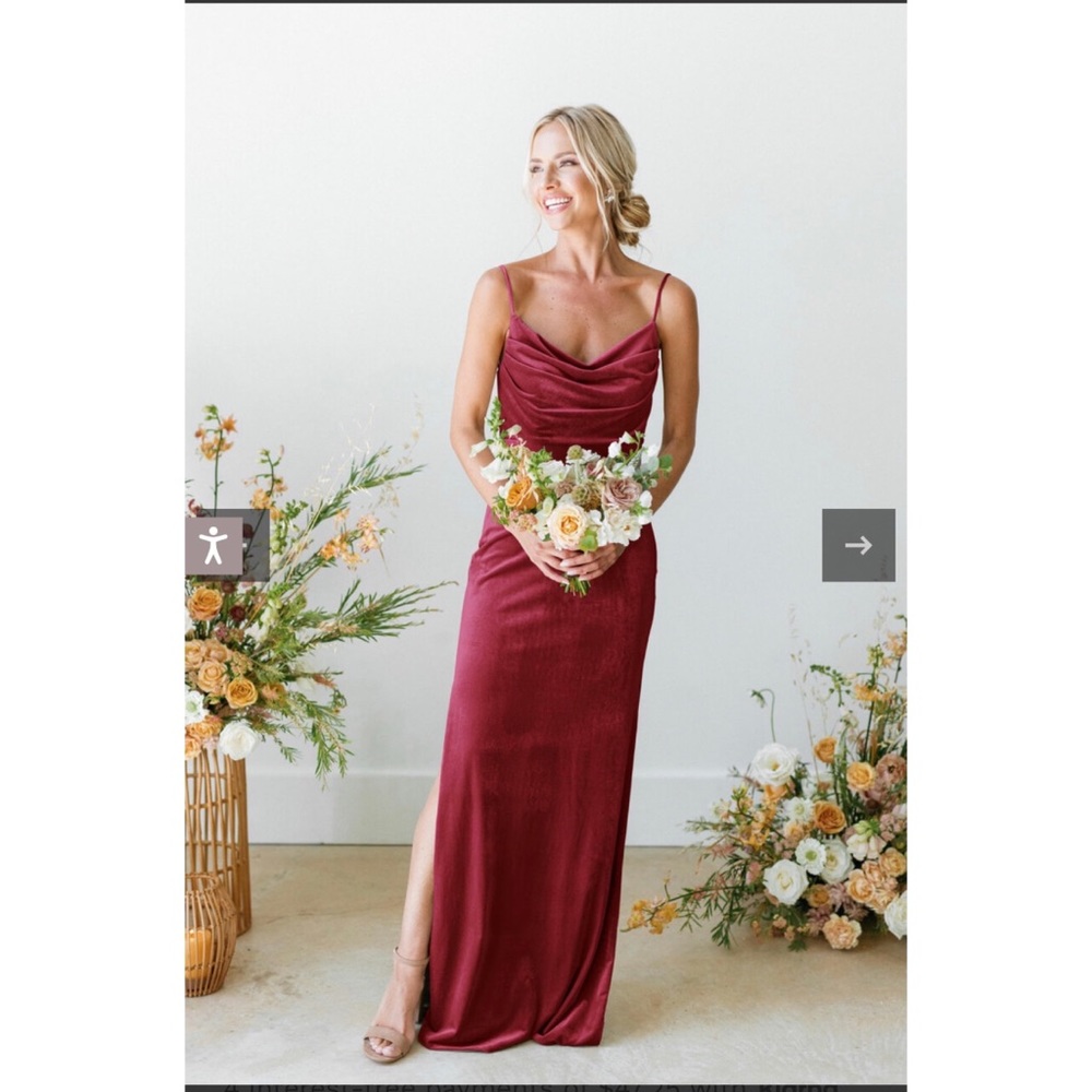 Revelry Skye Velvet Dress